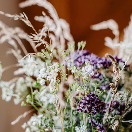 Apartment Tannherz *