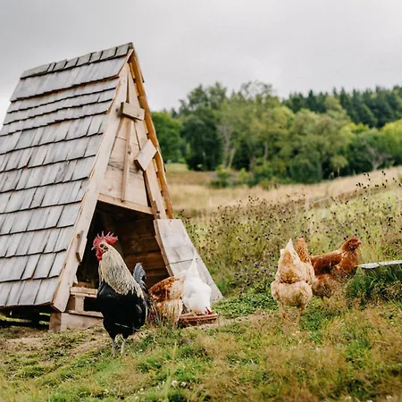 Apartment Tannherz Kleines Wiesental