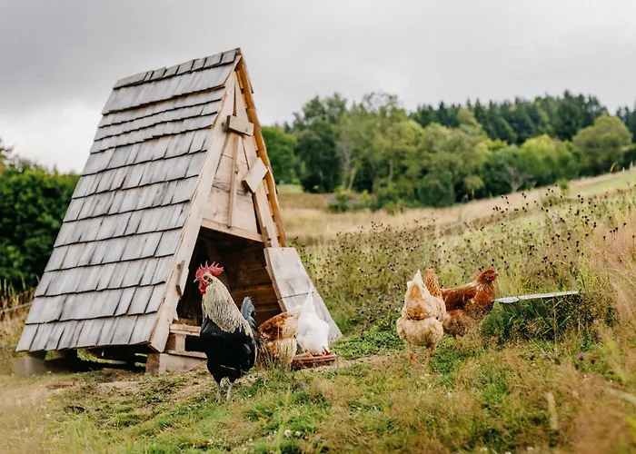 Daire Tannherz Kleines Wiesental